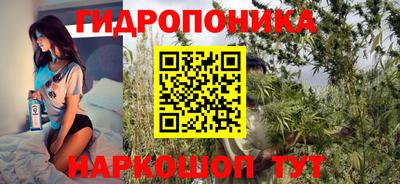 молекула духа Бийск