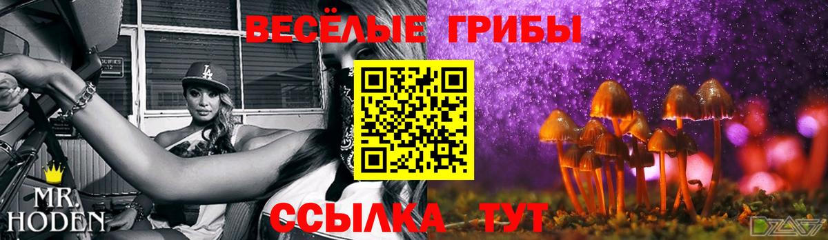 Галлюциногенные грибы Psilocybine cubensis Зима